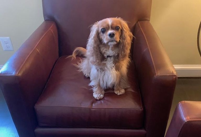 The head of security in Eric West's home office. 