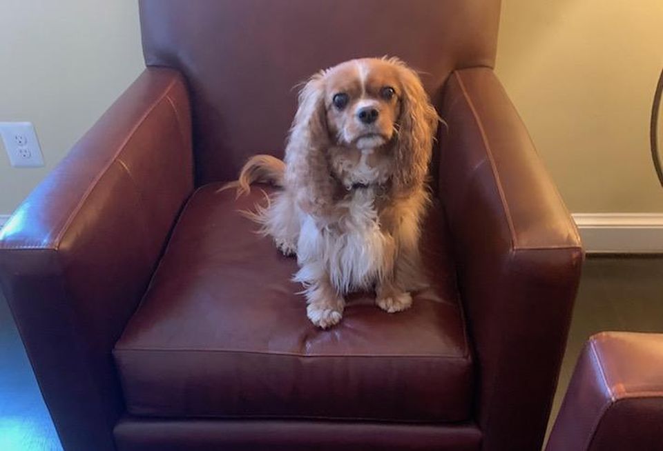 The head of security in Eric West's home office.