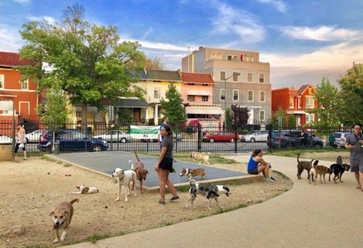 Columbia Heights Dog Park 1100 Park Road NW