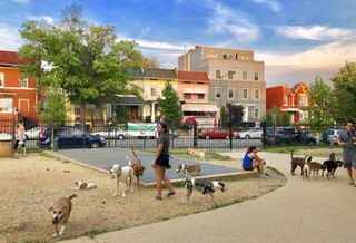 Columbia Heights Dog Park 1100 Park Road NW