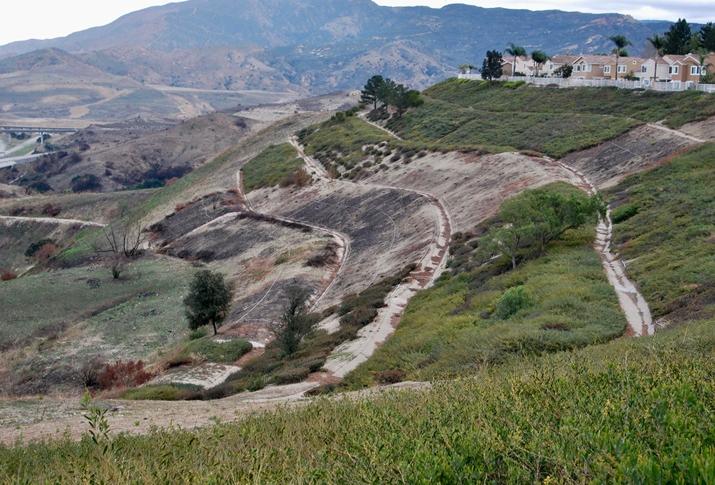 Charred Vegetation From The 2017 Canyon Fire 2 Wildfire In Anaheim Hills Charred vegetation from the Canyon Fire 2 wildfire in Anaheim Hills