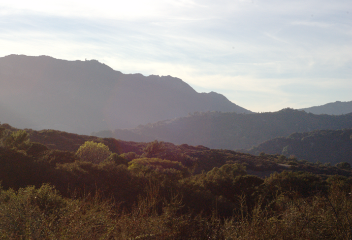 Billionaire Nicolas Berggruen Spends $45M On 450 Acres In Santa Monica Mountains 