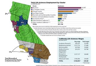 California Leads Nation In Biotech