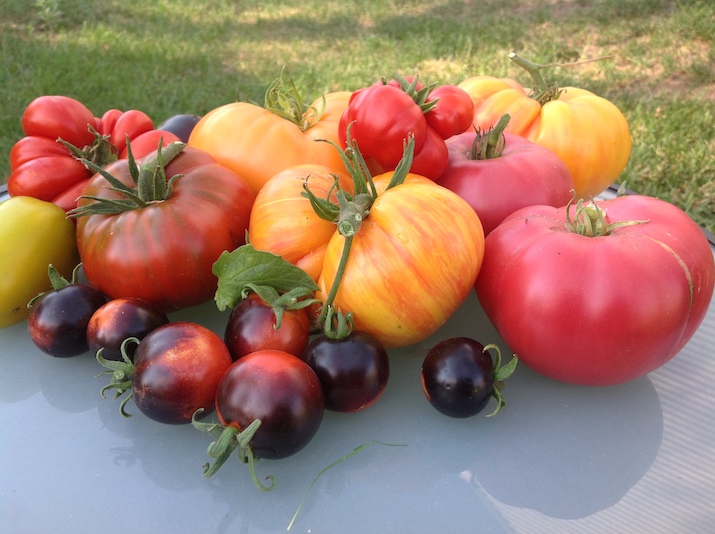 Way To Grow: Urban Farms Are An Amenity At Many Developments