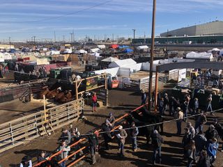 Giddy-Up: National Western's Stockyards On The Move When Show Ends