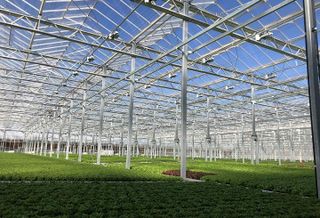 Pullman Using Urban Agriculture And Opportunity Zones To Make Up For Years Of Disinvestment