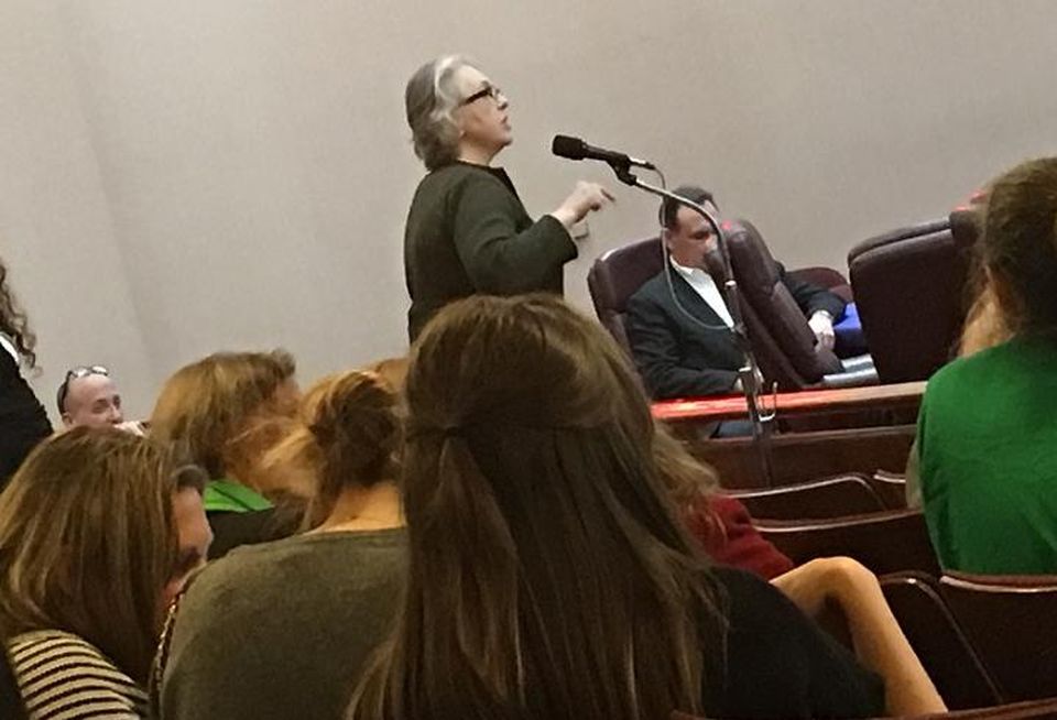 Community members testified at the Community Development Commission meeting
