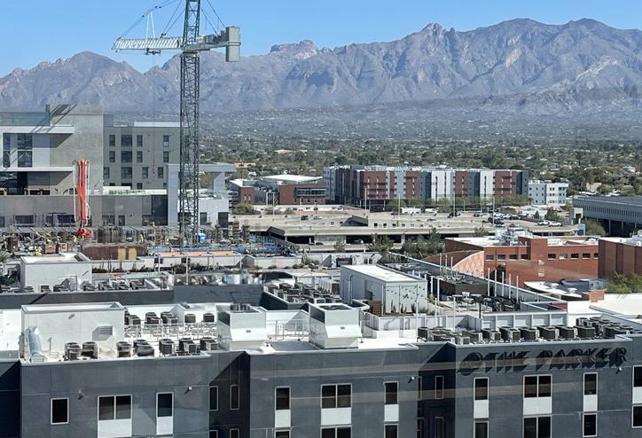 'Turning Gray Into Green': Maximizing Rooftops For Sustainable, Long-Term Value