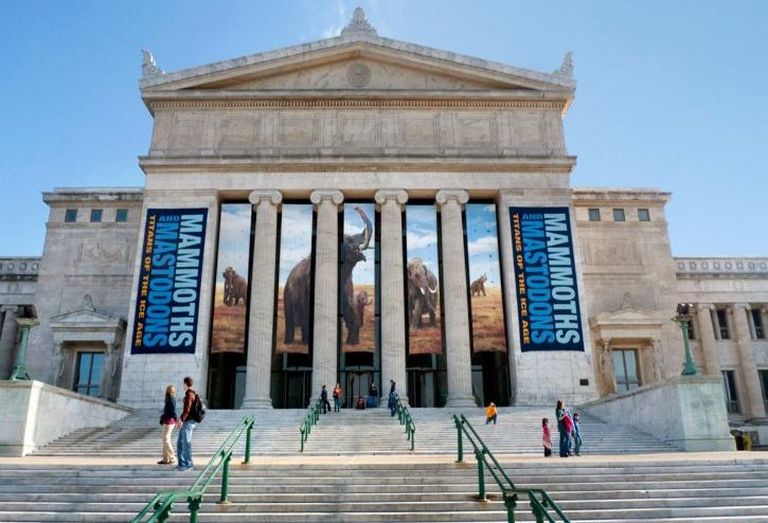 The Field Museum Of Natural History, Chicago