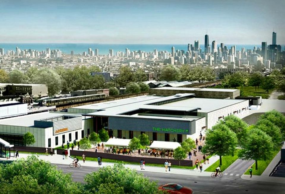 A rendering of The Hatchery, a food incubator in East Garfield Park.