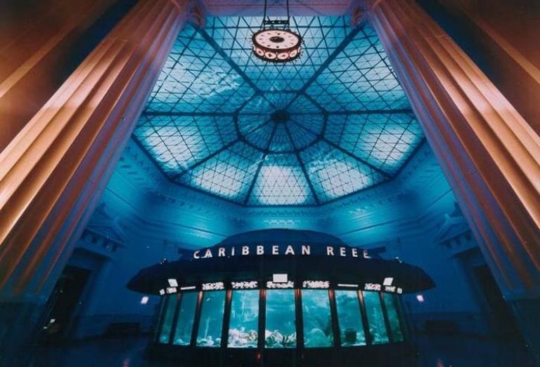 Shedd Aquarium, Chicago