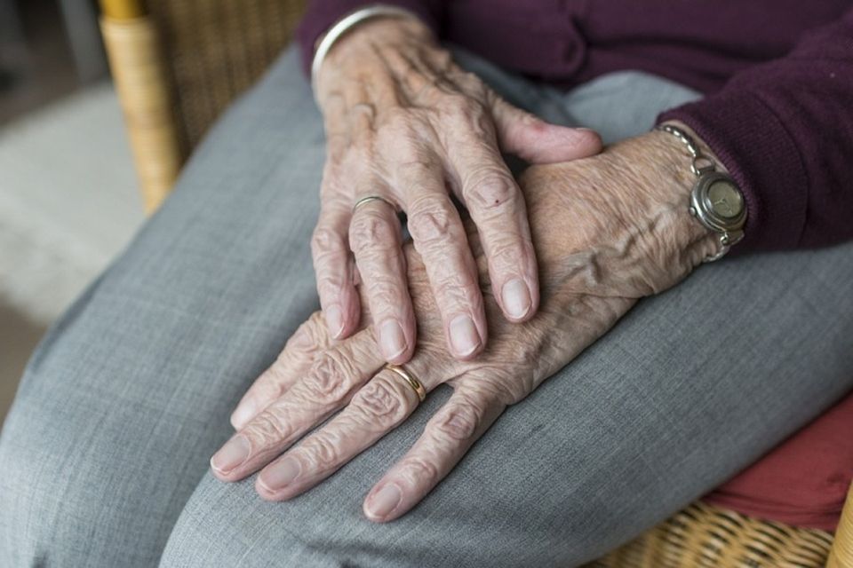 hands