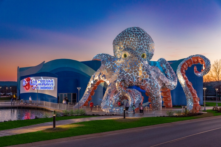 Aquarium on the Boardwalk