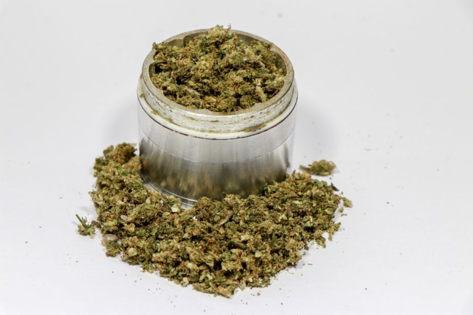 industrial hemp flower