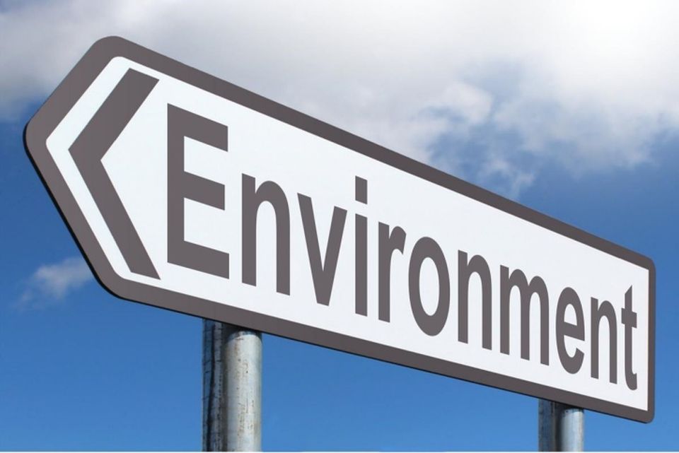 environment