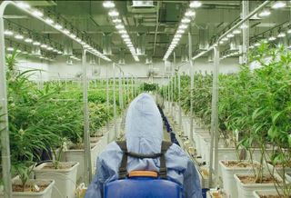 Green Thumb Industries 