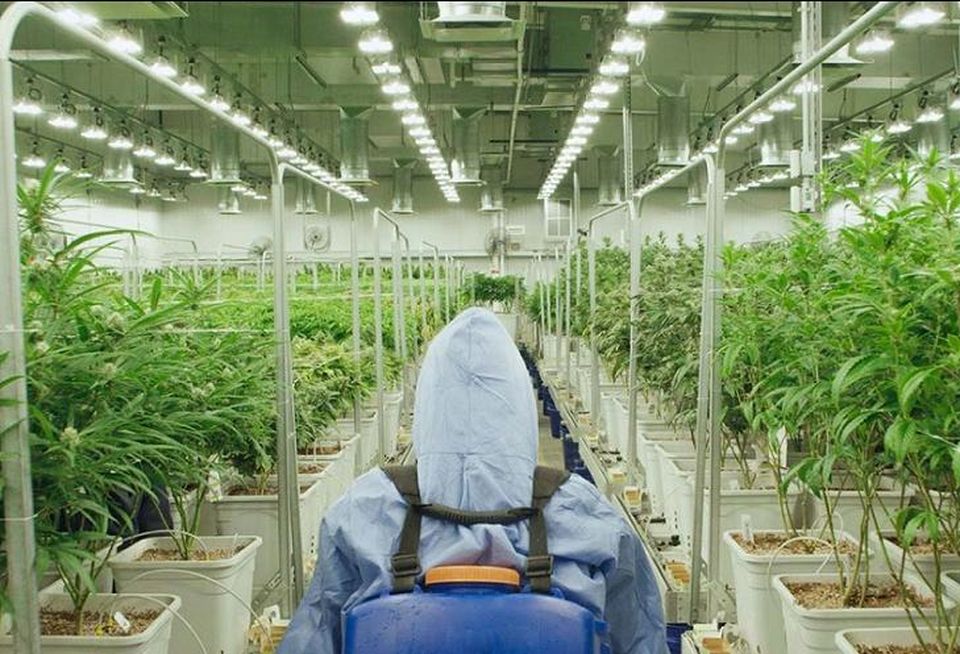 Green Thumb Industries