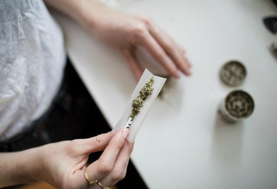marijuana, cannabis, pot, joint