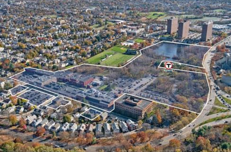 Alewife