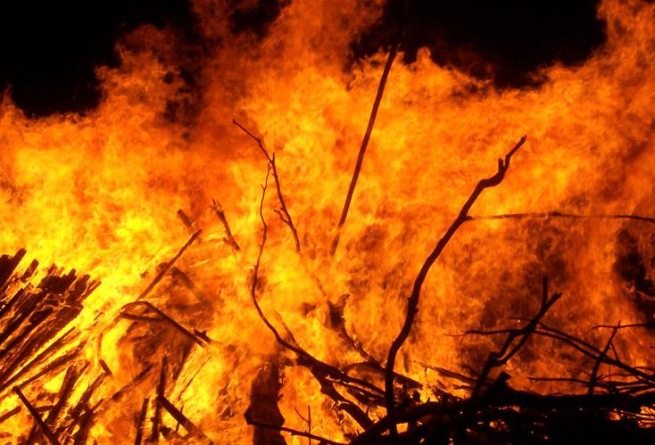 Coworking Is Surviving Its Trial By Fire