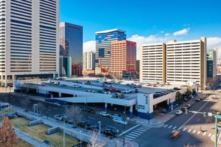 Greyhound Site Hits The Market