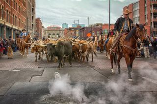 Dana Crawford Named Grand Marshal For Stock Show Parade