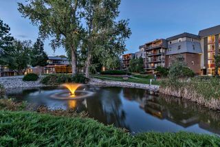 Gelt Pays $62M For 384-Unit Apartment Complex