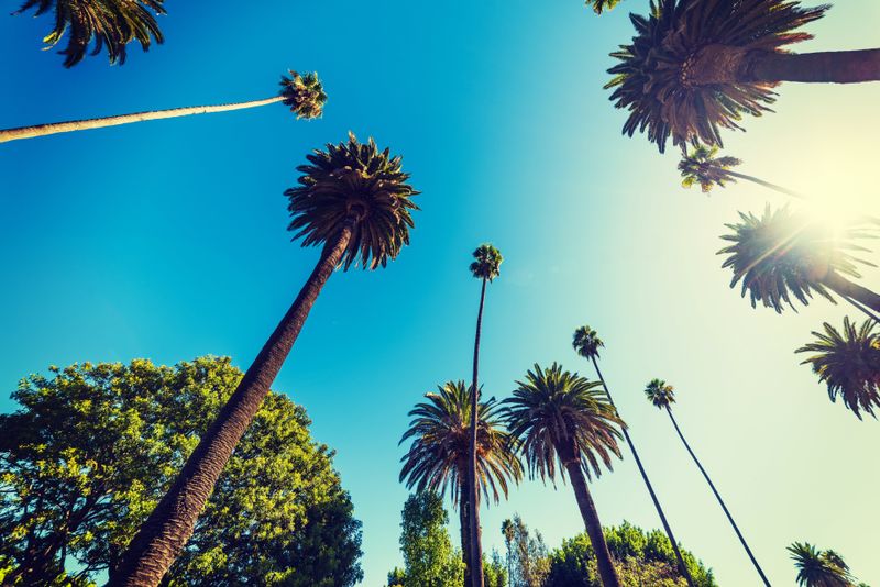 Southern California Prefab & Modular Construction Conference