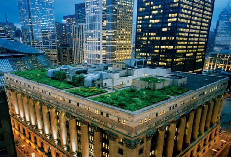 rooftop garden, health and wellness, office occupier