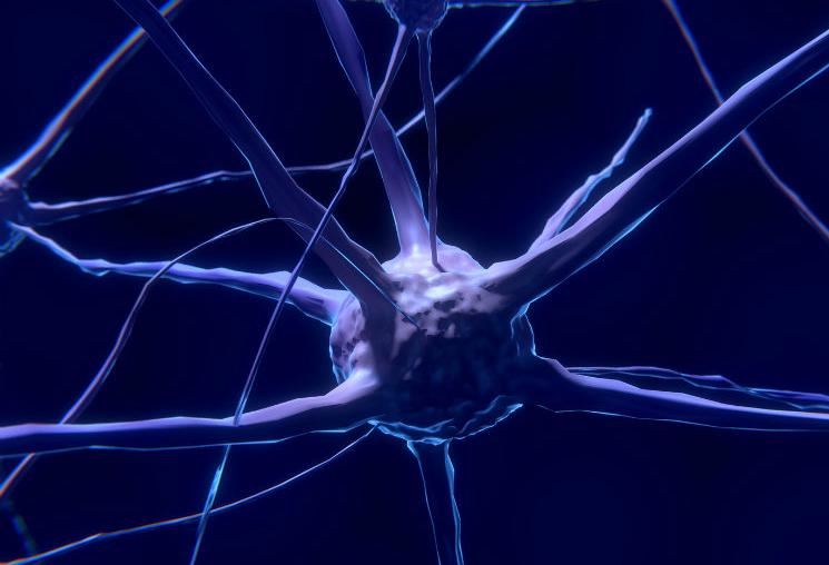 nerve cell, neuron, brain, brain cells