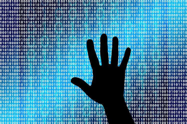 Cybersecurity, cyber security