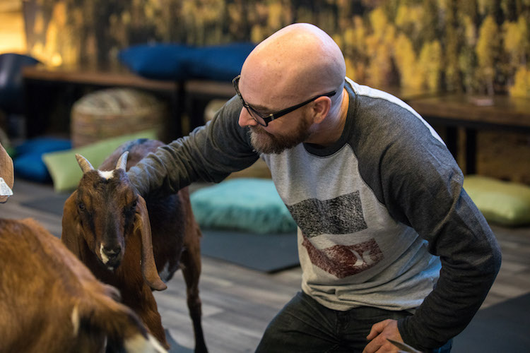 Travelers relieve stress during goat yoga at DIA