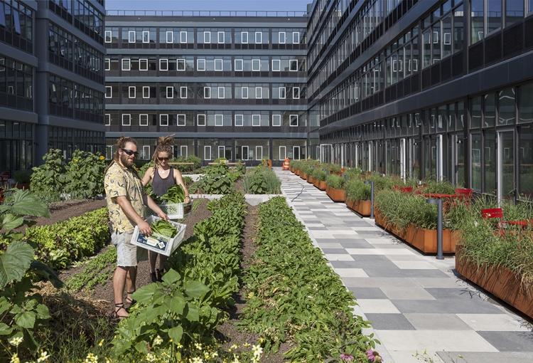 Meet The Farmer-In-Residence At Staten Island's Greenest Mixed-Use Amenity