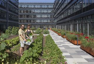 Meet The Farmer-In-Residence At Staten Island's Greenest Mixed-Use Amenity