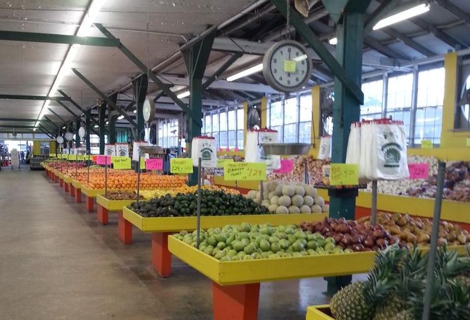 Canino Produce 