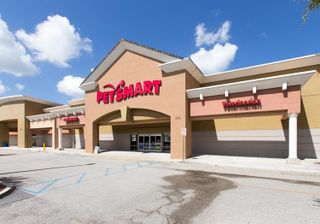 Commons at Royal Palm
