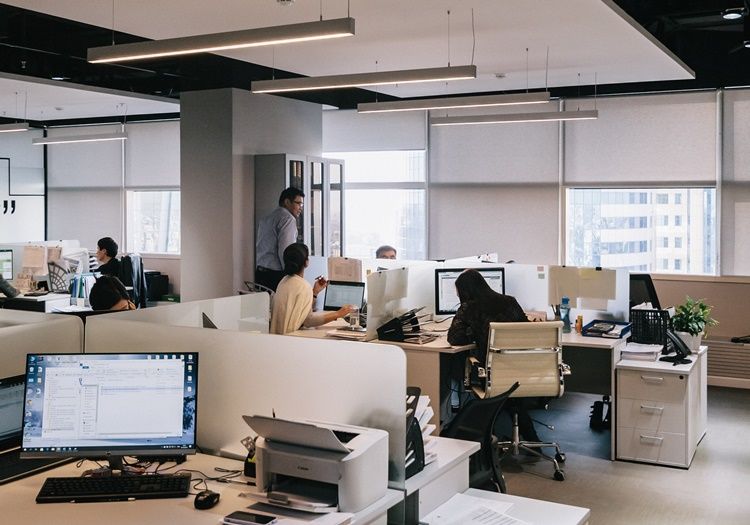 office workers