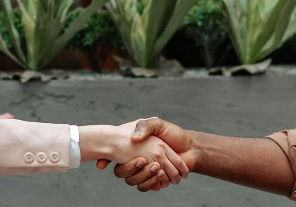 Two people shaking hands