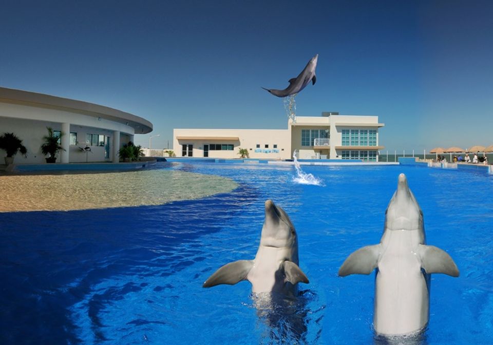 Georgia Aquarium