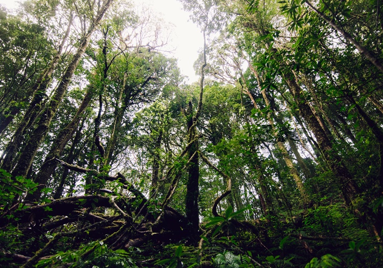 Photo by Dhruva Reddy on Unsplash