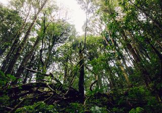 Photo by Dhruva Reddy on Unsplash