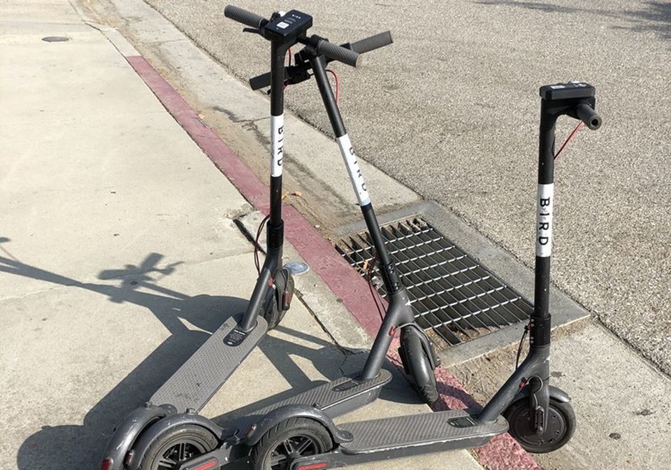 Bird Scooters