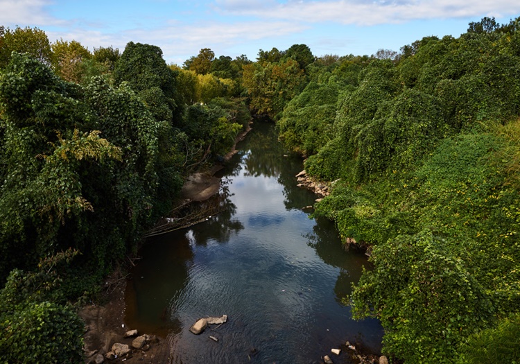 Peachtree Creek