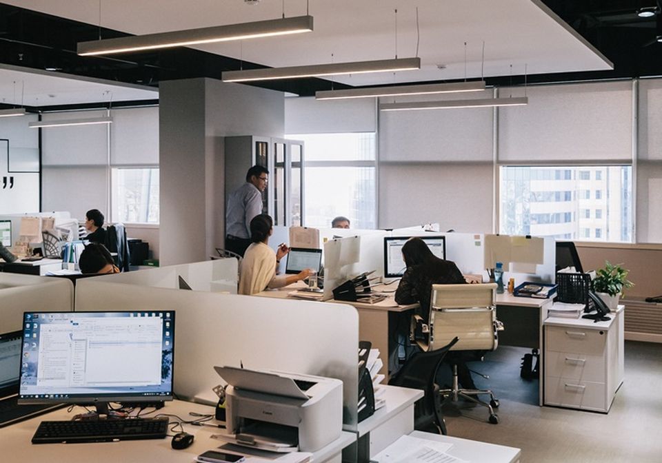 office workers
