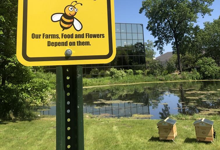 Honeybees Sign and Hives 