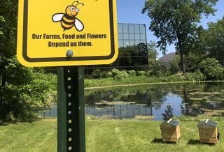 Honeybees Sign and Hives 