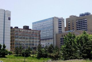 How One Hospital's Bankruptcy Shows The Downside Of Institutionalized Healthcare Real Estate