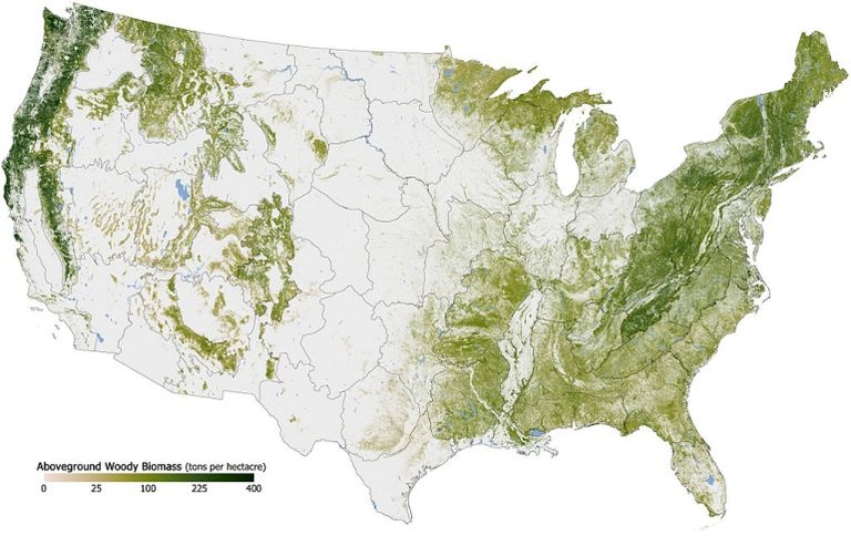 Aboveground_Woody_Biomass_in_the_United_States_2011