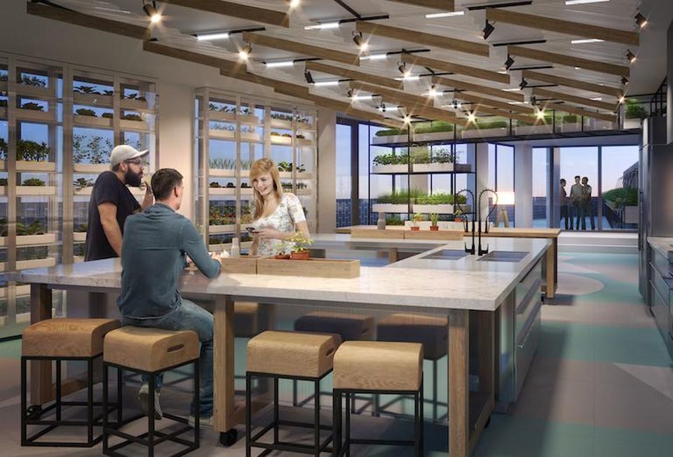 The green room at The Plant, which will have an internal greenhouse adjacent to a communal industrial-style kitchen.