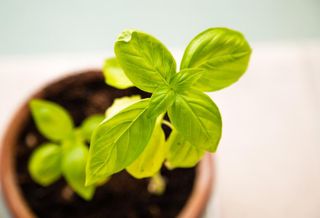 How BTR Owners Are Using ‘Nudge’ Psychology To Help Residents Cut Carbon Emissions